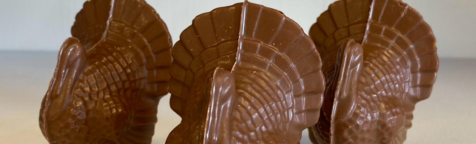 Chocolate turkey for Thanksgiving