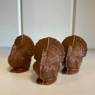 Chocolate turkey for Thanksgiving